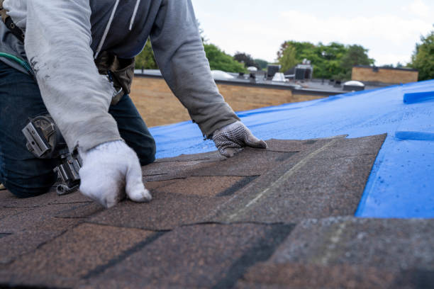 Gutter Installation and Roofing in Williams, CA