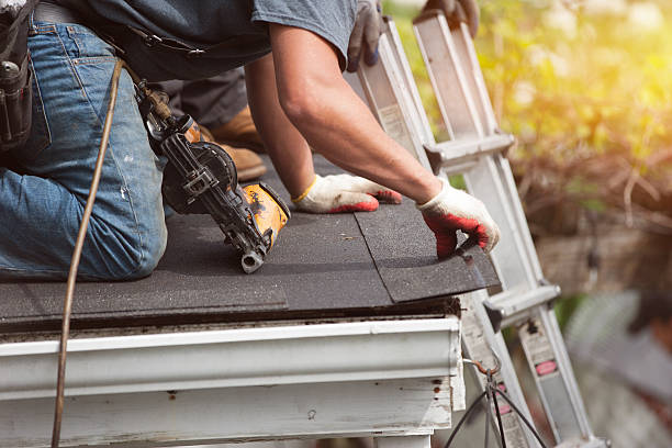 Best Roof Gutter Cleaning  in Williams, CA
